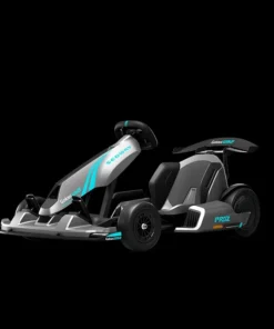 Segway GoKarts Pro 2