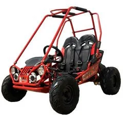 Trailmaster Mini XRX+ 2- Seater GO-KART EAGLE SERIES 163cc Blues. - Image 5
